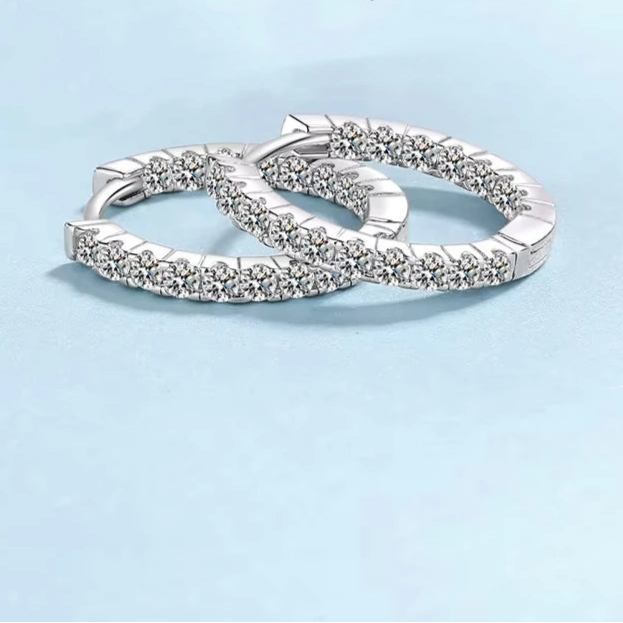 Noble Gleam Earring