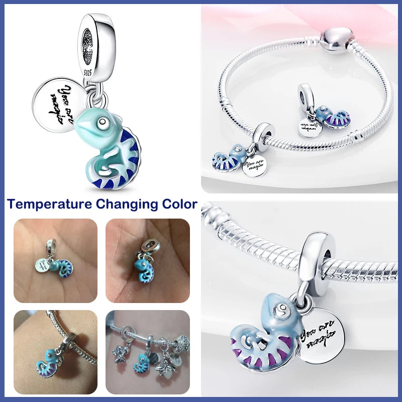 Pandora Charms